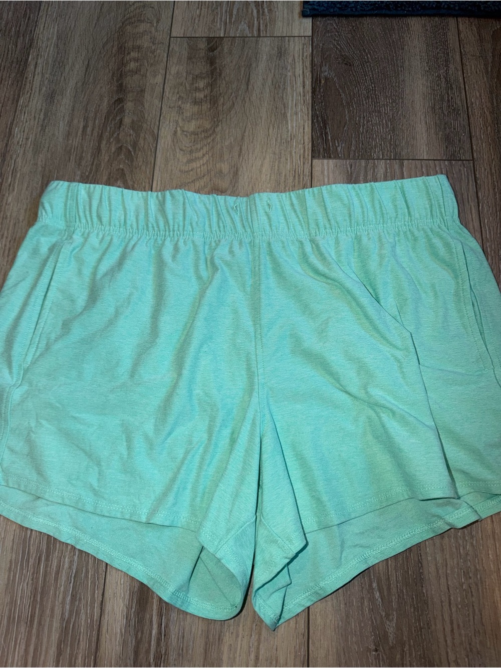 Women’s Mint Green Shorts